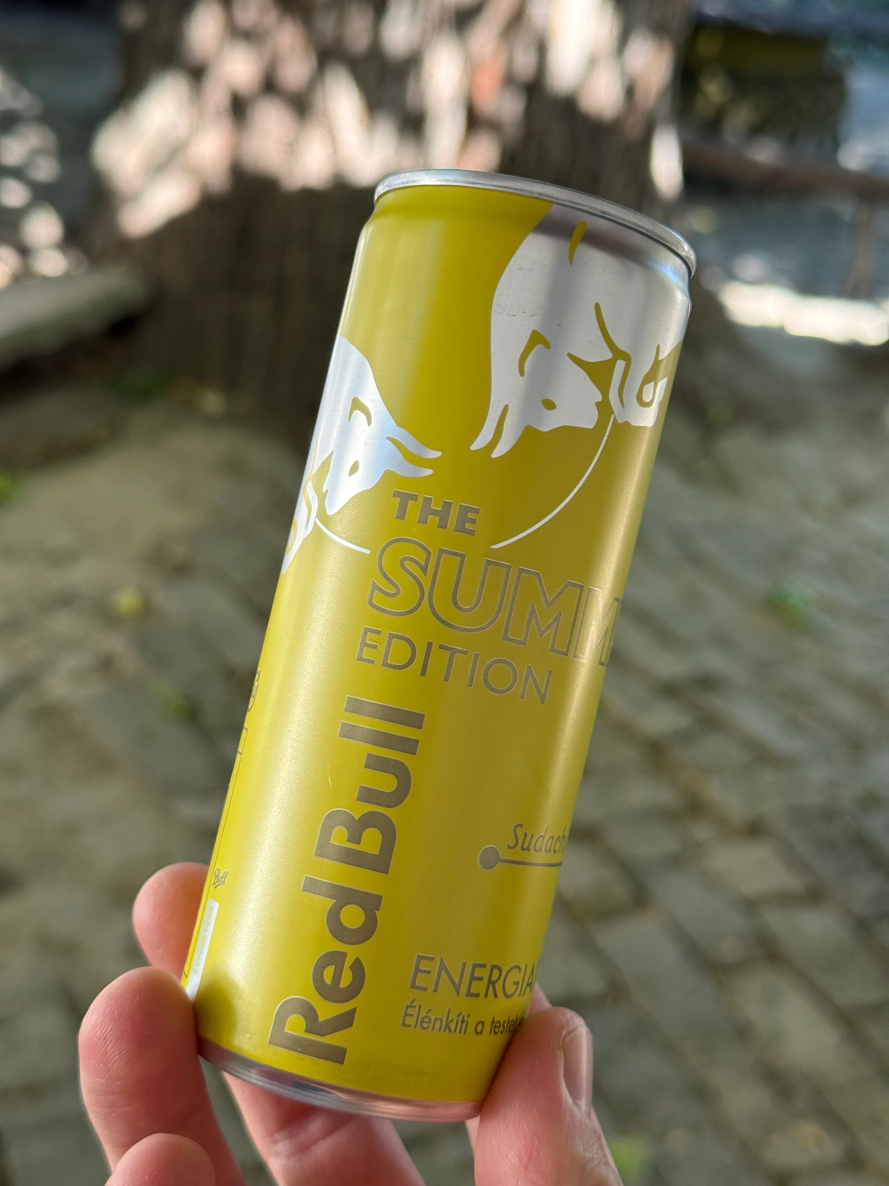 Szerintem ez a legjobb red bull íz. Nagyon frissítő mindig jó inni. Jó lenne egész évben